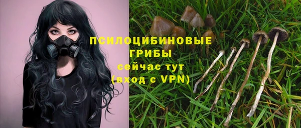 крисы Волосово