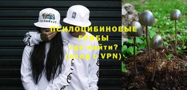 гидропоника Верхний Тагил