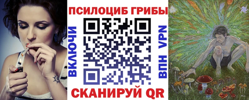где можно купить   Дивногорск  Псилоцибиновые грибы MAGIC MUSHROOMS 